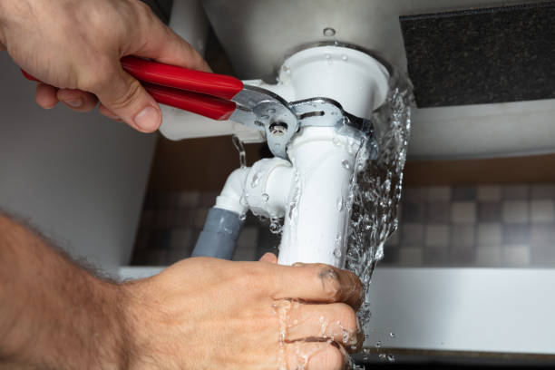 Best Mold removal after water damage  in Jacinto City, TX