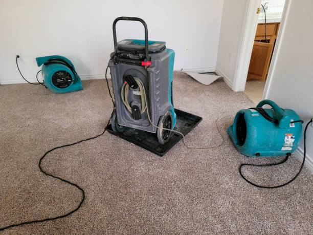 Best Fire Damage Restoration  in Jacinto City, TX