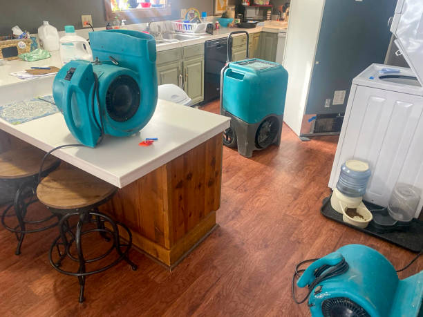 Best Local water damage restoration  in Jacinto City, TX