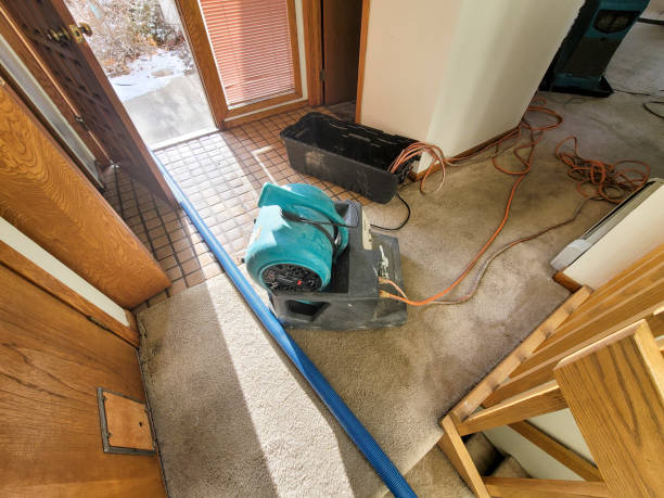 Best Flood restoration services  in Jacinto City, TX