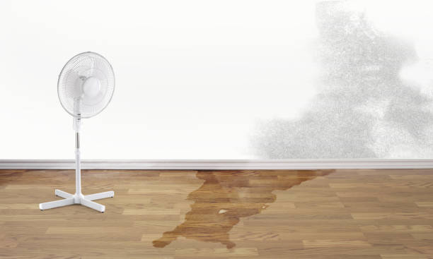 Best Emergency water damage restoration  in Jacinto City, TX