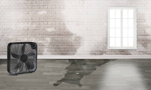 Best 24-hour water damage restoration  in Jacinto City, TX