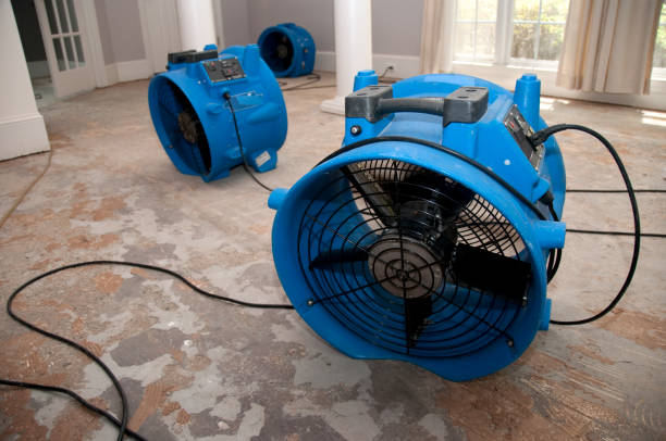 Best Sewage cleanup and water damage restoration  in Jacinto City, TX