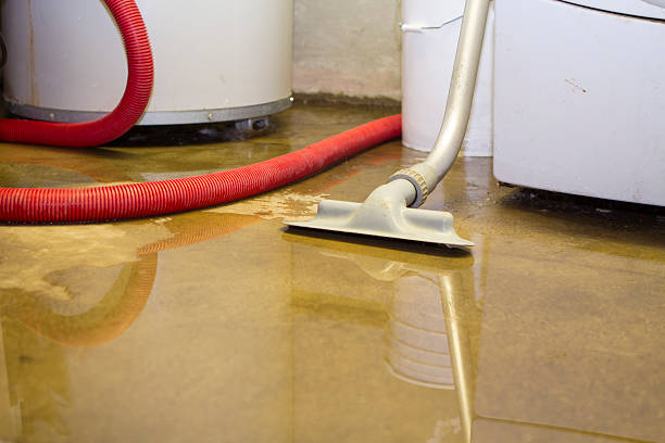 Best Water damage cleanup near me  in Jacinto City, TX