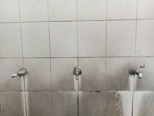 Best Emergency water damage restoration  in Jacinto City, TX