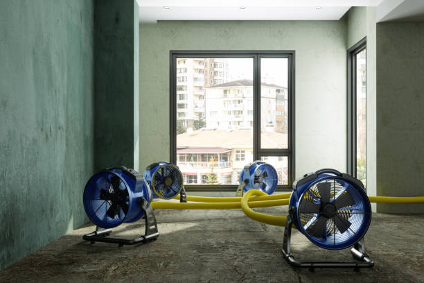 Best Basement water damage restoration  in Jacinto City, TX