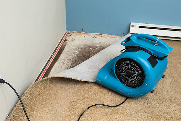 Best Water damage mitigation services  in Jacinto City, TX